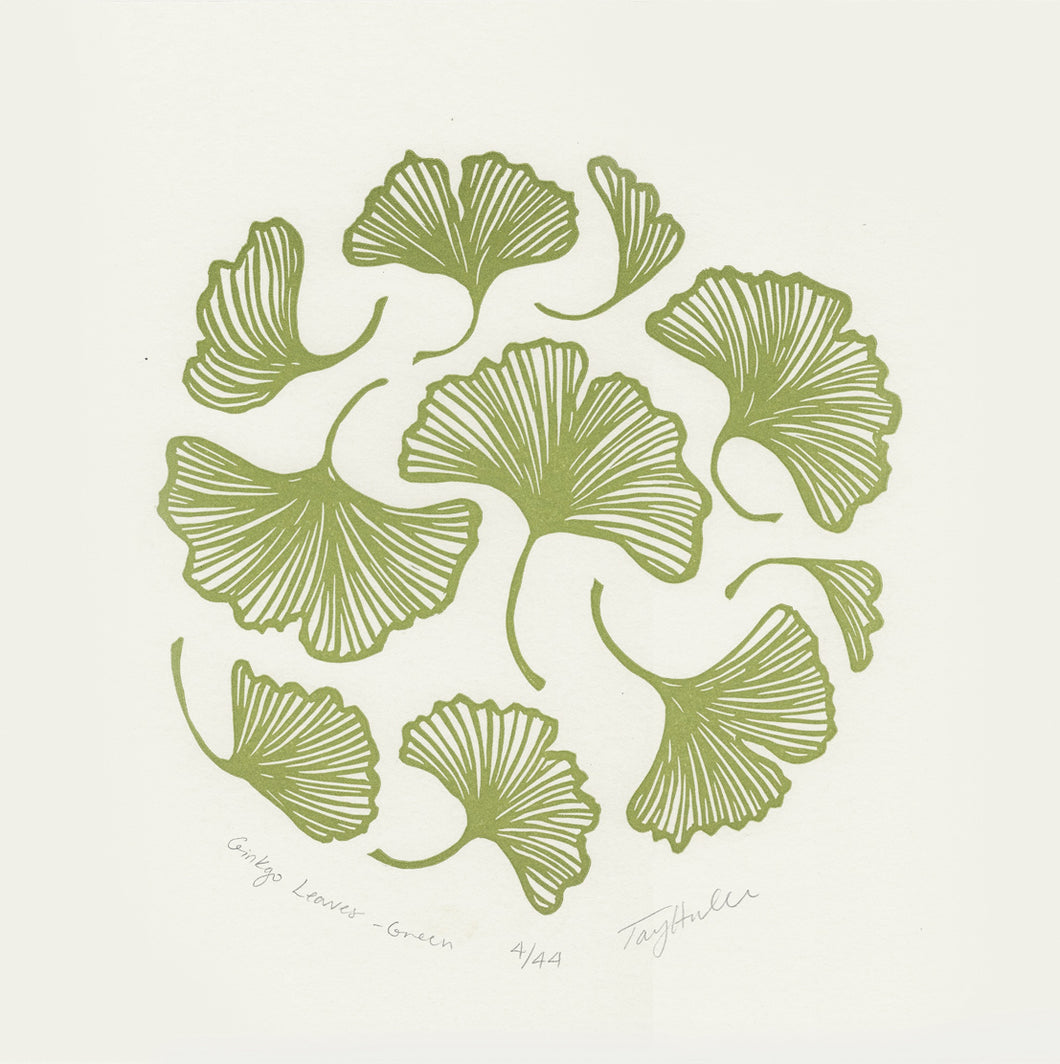 Ginkgo Leaves - Green