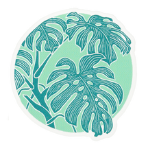 Load image into Gallery viewer, Botanical Vinyl Sticker Set