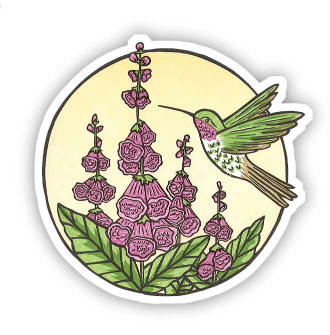 Hummingbird & Foxglove Vinyl Sticker