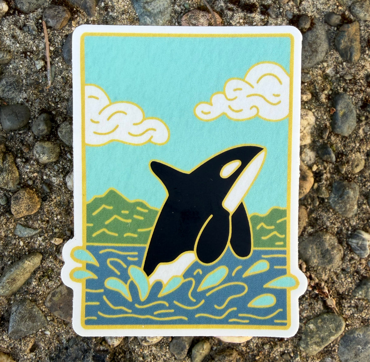 Orca Sticker - Coxswain Press
