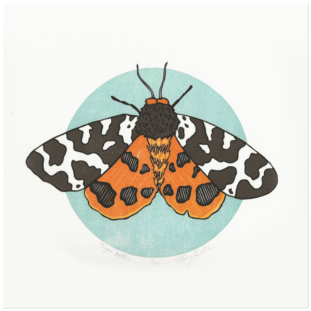 Tiger Moth Block Print – Coxswain Press