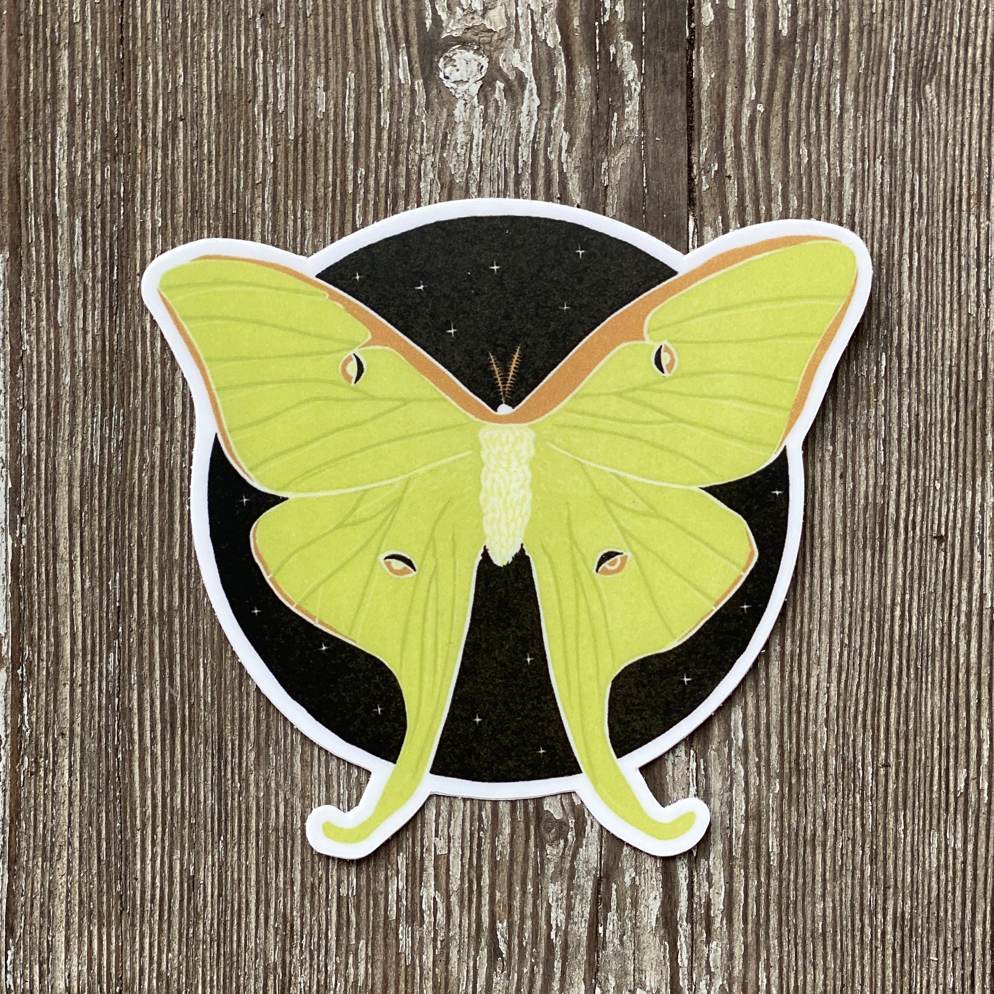 Luna Moth, Vinyl Sticker
