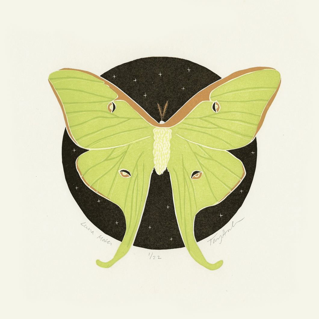 Luna Moth