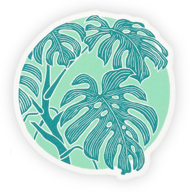 Monstera Leaf Vinyl Sticker  Coxswain Press