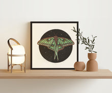 Load image into Gallery viewer, Spanish Moon Moth
