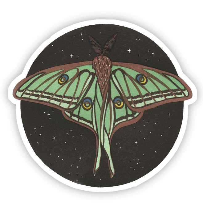 Moon Moth Sticker Spanish Moon Moth Vinyl Sticker – Coxswain Press