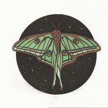 Load image into Gallery viewer, Spanish Moon Moth
